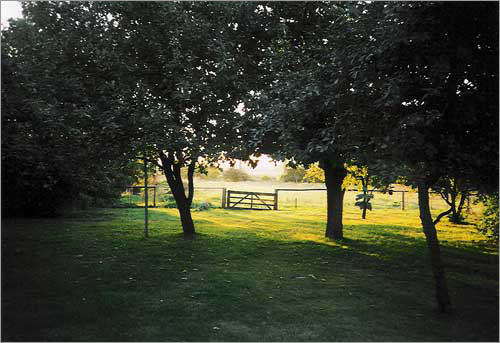 Obstgarten mit Blick zum Achterwasser